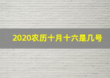 2020农历十月十六是几号