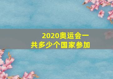 2020奥运会一共多少个国家参加