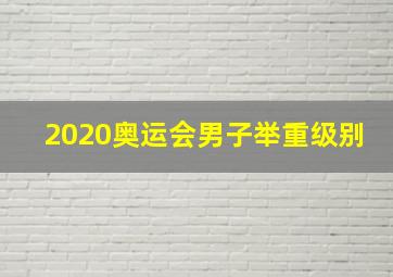 2020奥运会男子举重级别