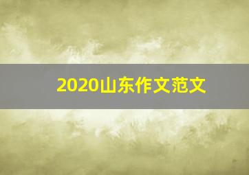 2020山东作文范文