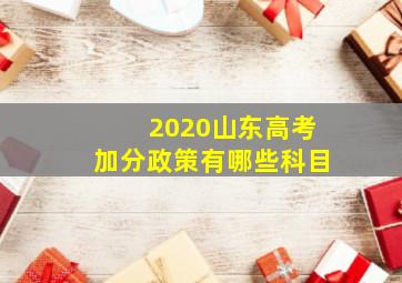 2020山东高考加分政策有哪些科目