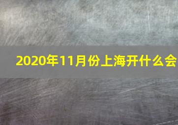 2020年11月份上海开什么会