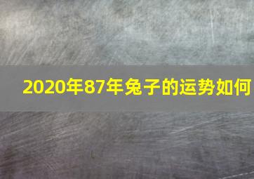 2020年87年兔子的运势如何