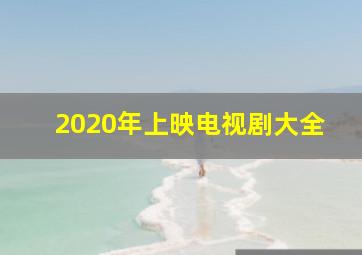 2020年上映电视剧大全