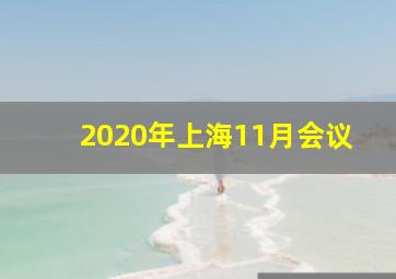 2020年上海11月会议