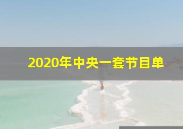 2020年中央一套节目单