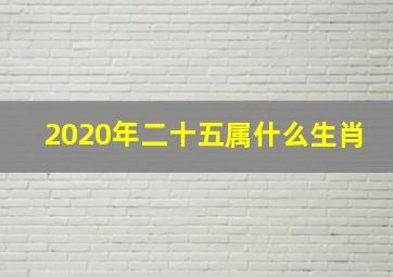 2020年二十五属什么生肖