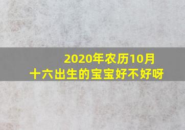 2020年农历10月十六出生的宝宝好不好呀