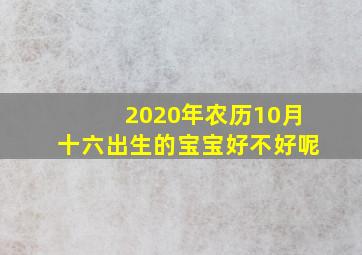 2020年农历10月十六出生的宝宝好不好呢