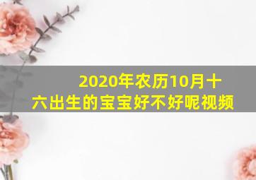 2020年农历10月十六出生的宝宝好不好呢视频