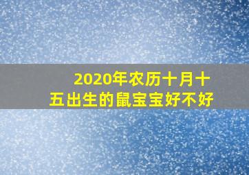 2020年农历十月十五出生的鼠宝宝好不好