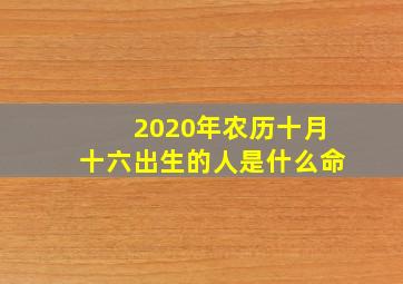 2020年农历十月十六出生的人是什么命