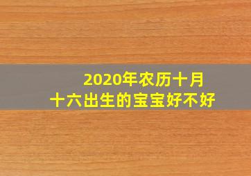 2020年农历十月十六出生的宝宝好不好