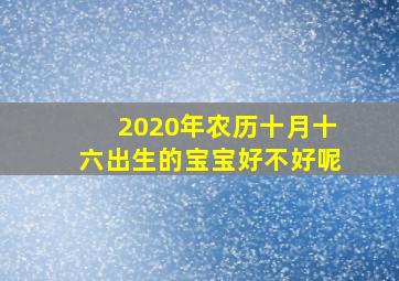 2020年农历十月十六出生的宝宝好不好呢