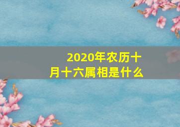 2020年农历十月十六属相是什么