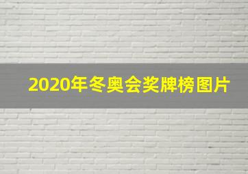 2020年冬奥会奖牌榜图片