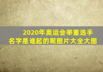 2020年奥运会举重选手名字是谁起的呢图片大全大图