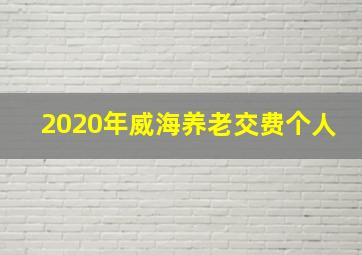 2020年威海养老交费个人