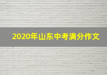 2020年山东中考满分作文