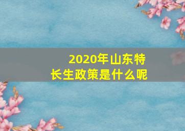 2020年山东特长生政策是什么呢