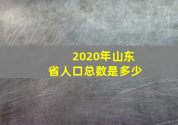 2020年山东省人口总数是多少