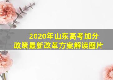 2020年山东高考加分政策最新改革方案解读图片