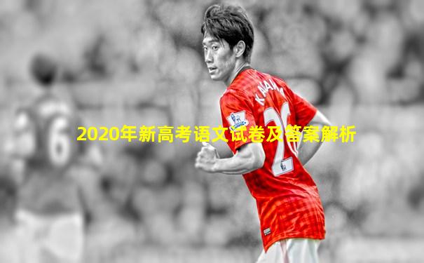 2020年新高考语文试卷及答案解析