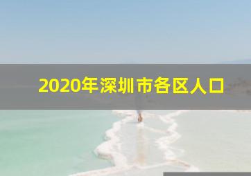 2020年深圳市各区人口