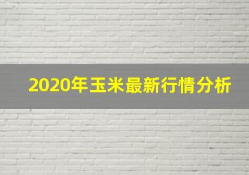 2020年玉米最新行情分析