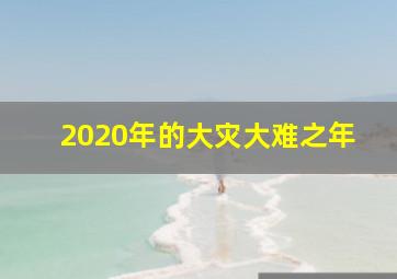 2020年的大灾大难之年