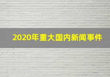 2020年重大国内新闻事件