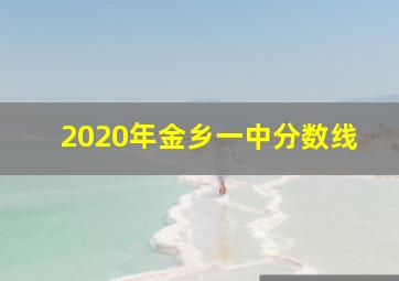 2020年金乡一中分数线