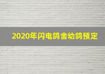 2020年闪电鸽舍幼鸽预定