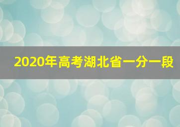 2020年高考湖北省一分一段