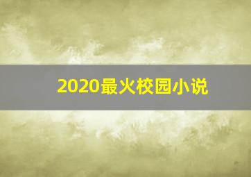 2020最火校园小说