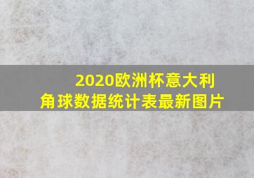 2020欧洲杯意大利角球数据统计表最新图片