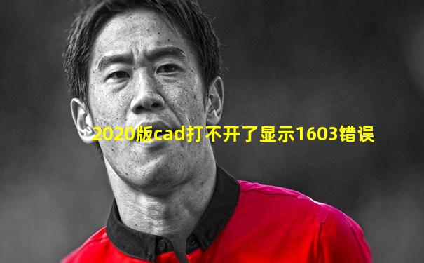 2020版cad打不开了显示1603错误