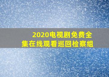 2020电视剧免费全集在线观看巡回检察组