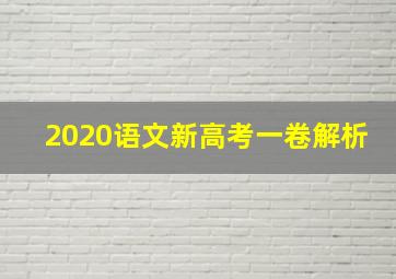 2020语文新高考一卷解析