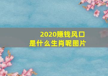 2020赚钱风口是什么生肖呢图片