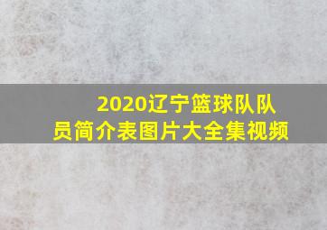 2020辽宁篮球队队员简介表图片大全集视频