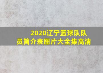 2020辽宁篮球队队员简介表图片大全集高清