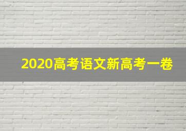 2020高考语文新高考一卷