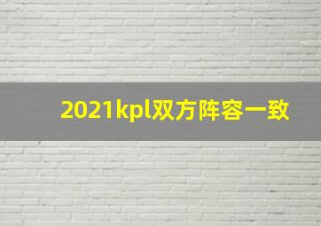 2021kpl双方阵容一致