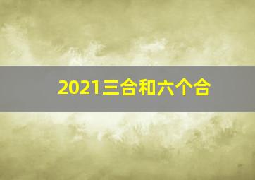 2021三合和六个合