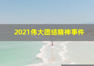 2021伟大团结精神事件