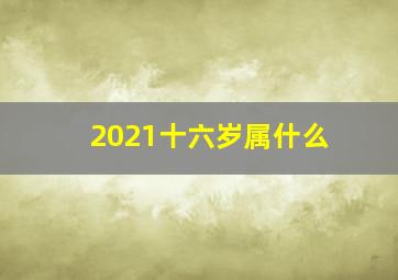 2021十六岁属什么