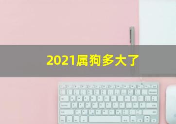 2021属狗多大了