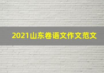 2021山东卷语文作文范文