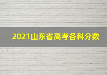 2021山东省高考各科分数